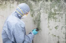 Best Airborne Mold Testing  in White Bear Lake, MN